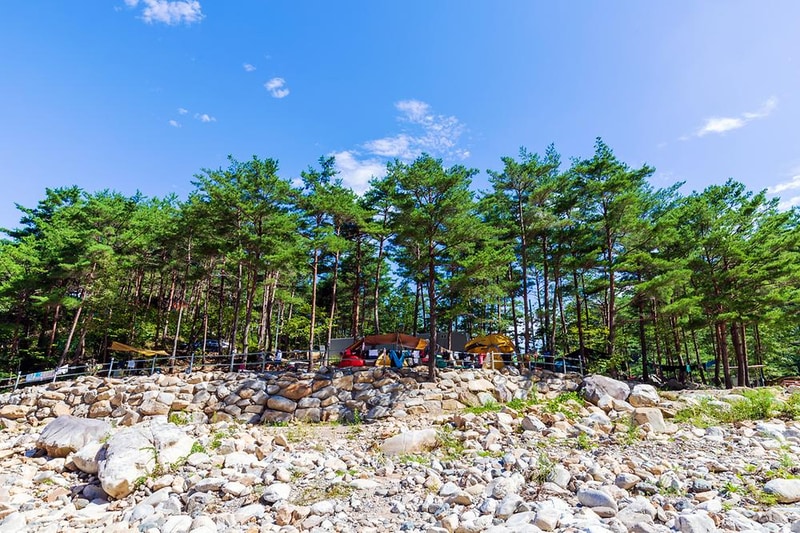 왕피천 숲속 캠핑장 시설 사진 18