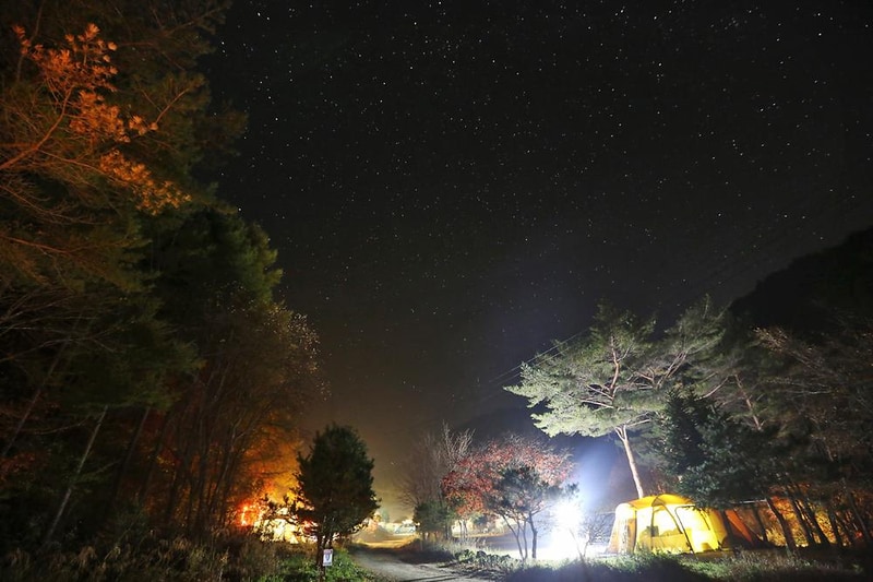 용골송어와 캠핑 시설 사진 22