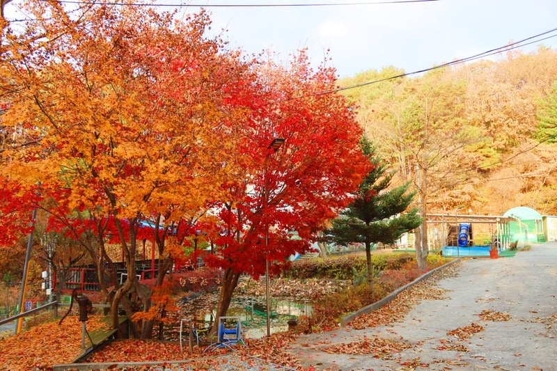 캠핑하는 집 시설 사진 2