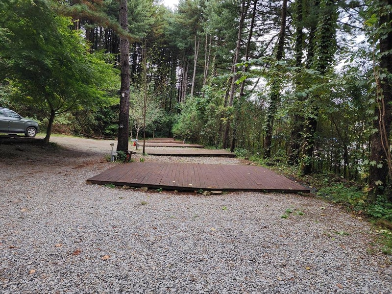 리틀 포레스트 캠핑 시설 사진 12