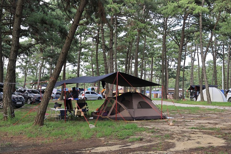 구시포 노을 캠핑장 시설 사진 16