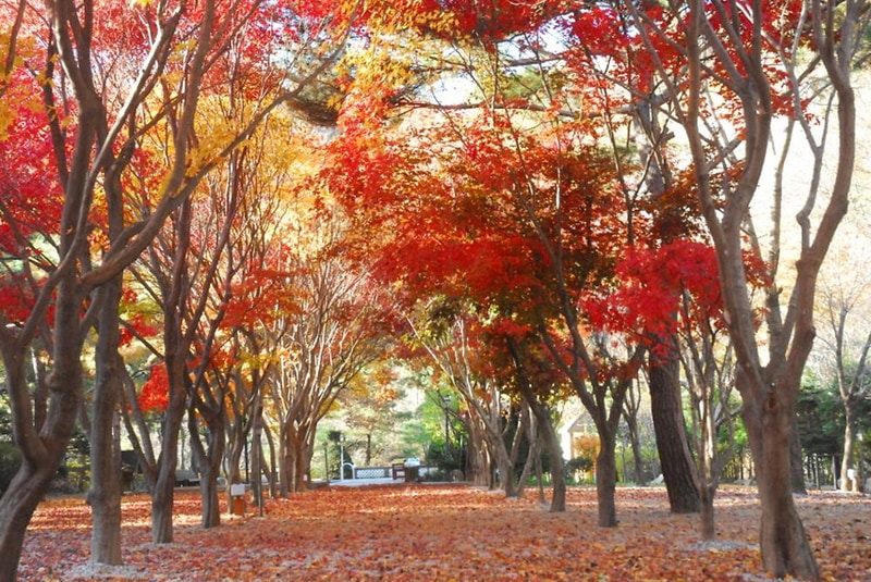 두레캠핑장 시설 사진 9