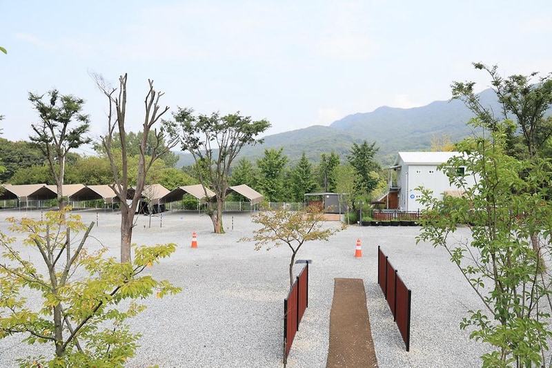 휴 캠핑장(승건 관광농원) 시설 사진 14