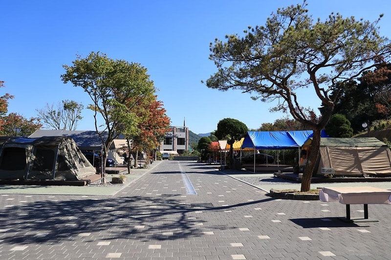 초이휴캠핑장 시설 사진 19