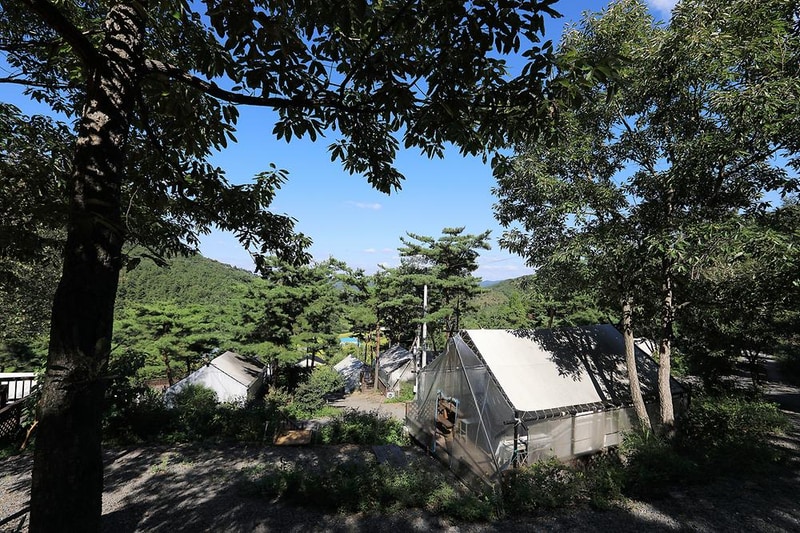 청양고운캠핑장 시설 사진 9