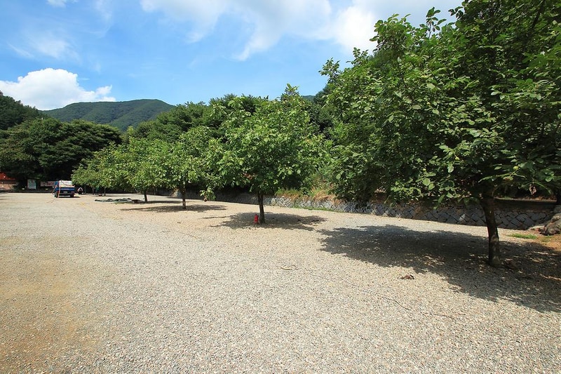 호두나무캠핑장 시설 사진 3