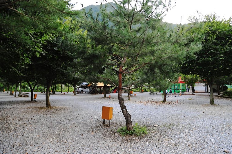 영월약수터 캠핑장 시설 사진 5