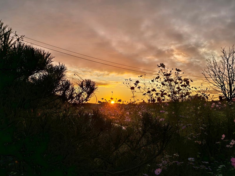 달산 글램핑 시설 사진 10