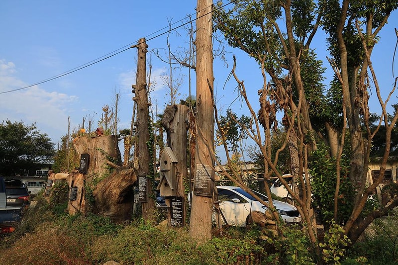 버드하우스 캠핑장 시설 사진 13