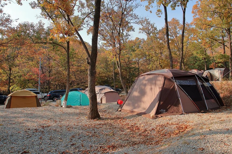 낭만에코파크 시설 사진 8
