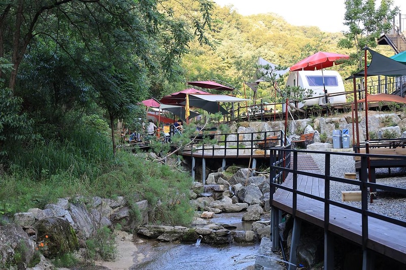 초리 포레스트 시설 사진 13