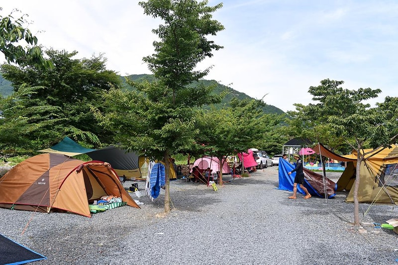 초록슈피아오토캠핑장 시설 사진 12