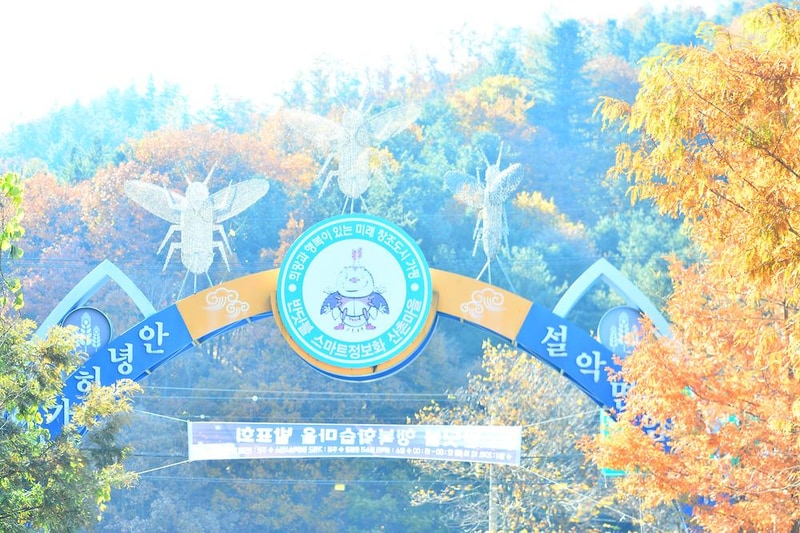 별빛오토캠핑장 시설 사진 8