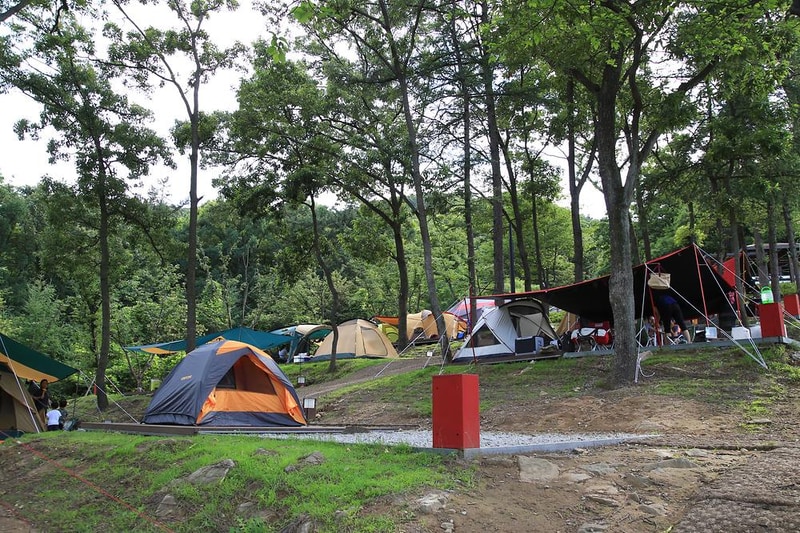 덕산국민여가캠핑장 시설 사진 34