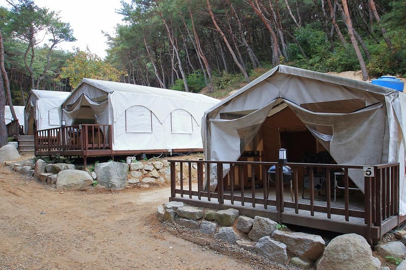 오아시스글램핑 시설 사진 13