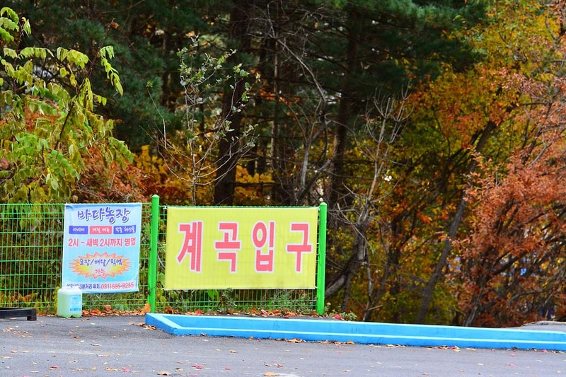 유명산힐링캠프 시설 사진 13