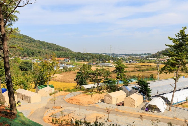 세제골농원 숲속야영장 시설 사진 25