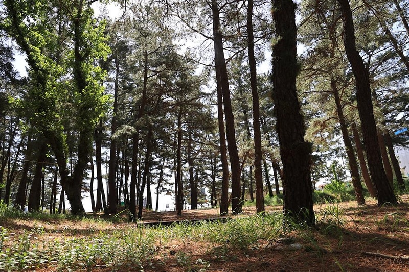 솔밭야영장 시설 사진 3