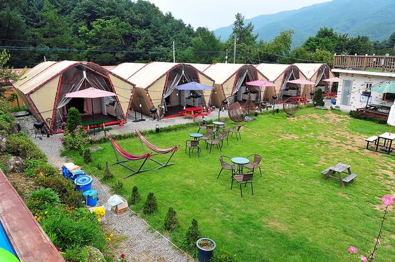 파인벨리 럭셔리 글램핑 시즌2 대표 사진