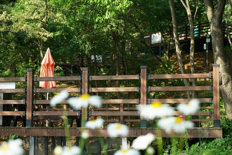 소요별앤숲테마파크 시설 사진 48