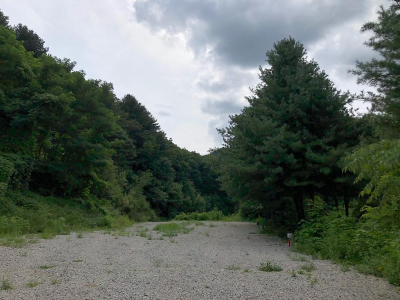 화천드림캠핑장 시설 사진 8