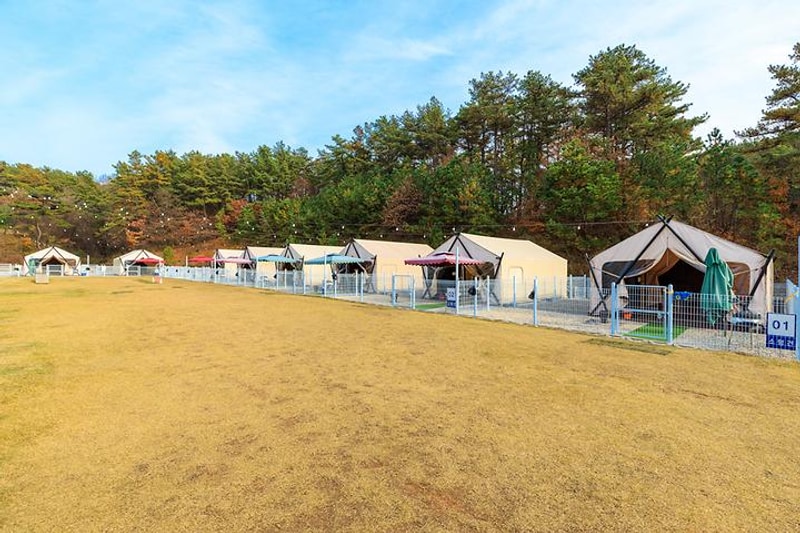 멍글멍글 펫글램핑 대표 사진