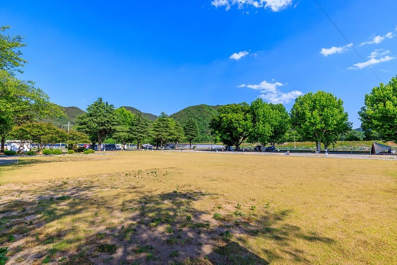 안림딸기마을 캠핑장 시설 사진 10