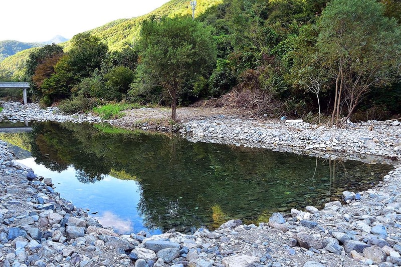 하얀숲 오토&글램핑 시설 사진 15