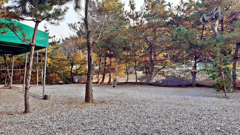 산우물 북 캠핑장 시설 사진 17