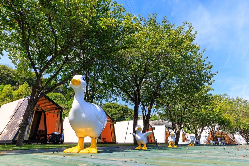 (주)청도 프로방스 글램핑 시설 사진 8