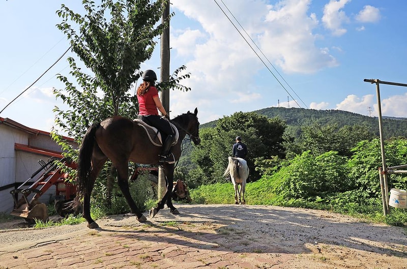 홀스킹덤 글램핑 시설 사진 18