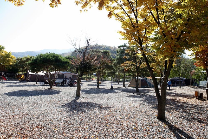 캠프 예그리나 시설 사진 2