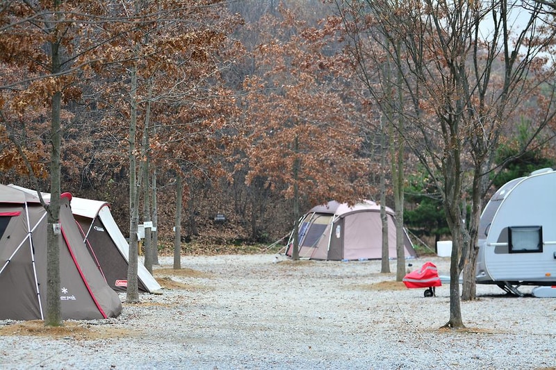 장수자연관광농원 시설 사진 8