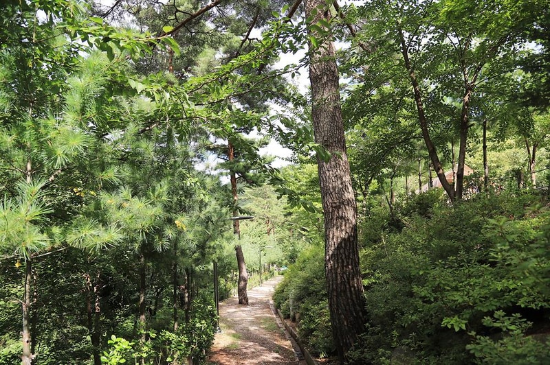 국립검봉산자연휴양림야영장 시설 사진 8