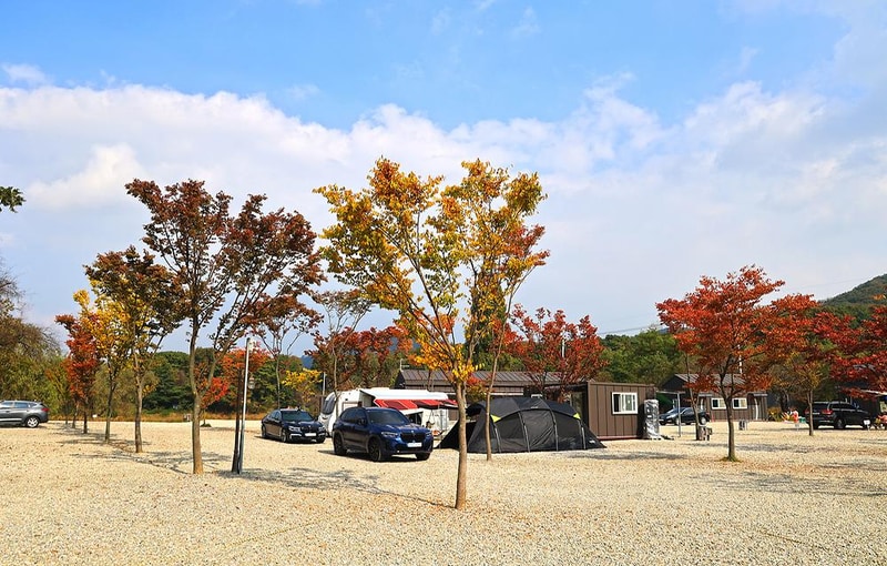 레이크202 캠핑장 시설 사진 6