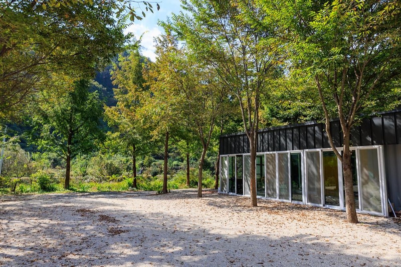 금산 자연 오토캠핑장 시설 사진 6