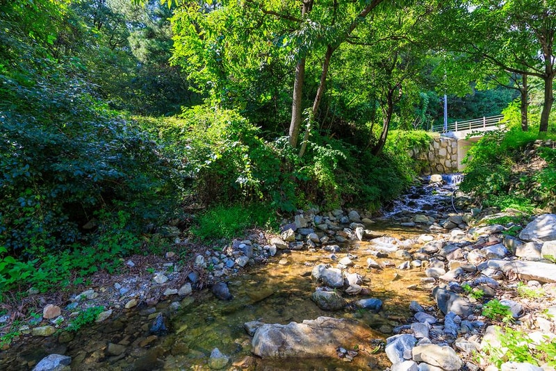 숲에안기다 시설 사진 8