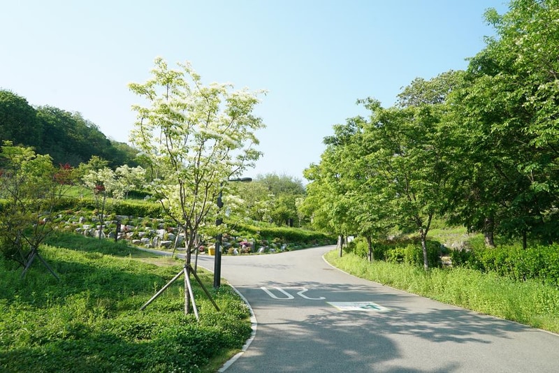 천왕산 가족캠핑장 시설 사진 111