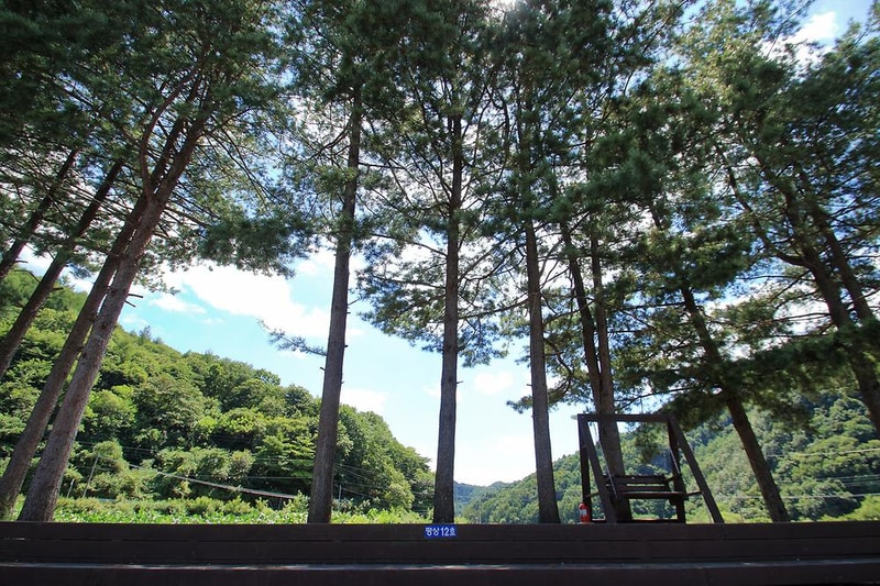 스카이 운학 오토캠핑장 시설 사진 1