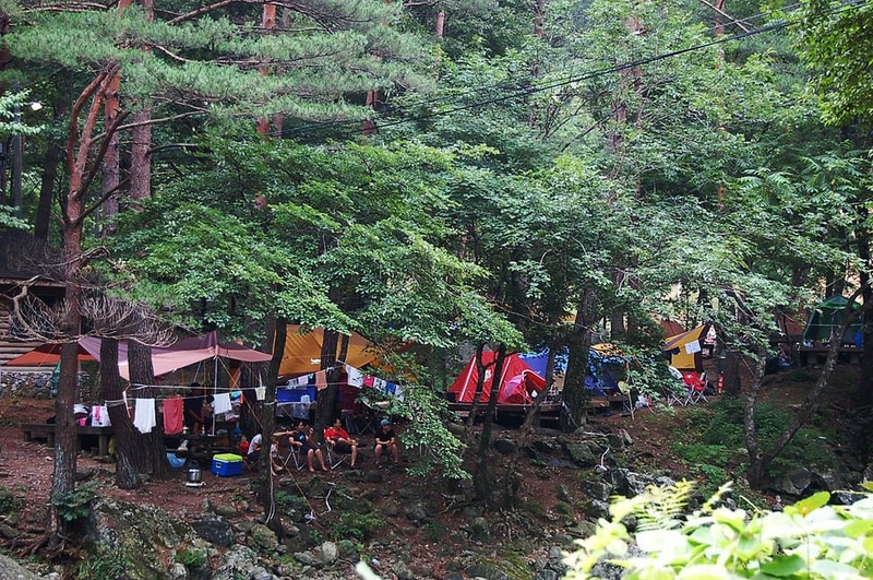 국립미천골자연휴양림 시설 사진 1