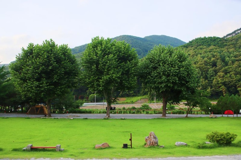 오손도손캠핑장 시설 사진 15