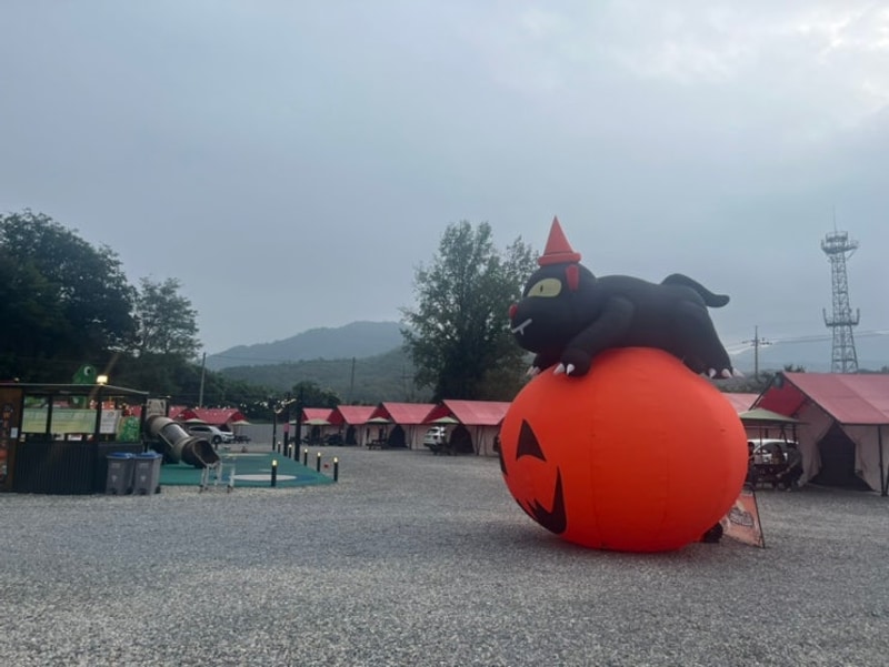 스테이 107 대표 사진