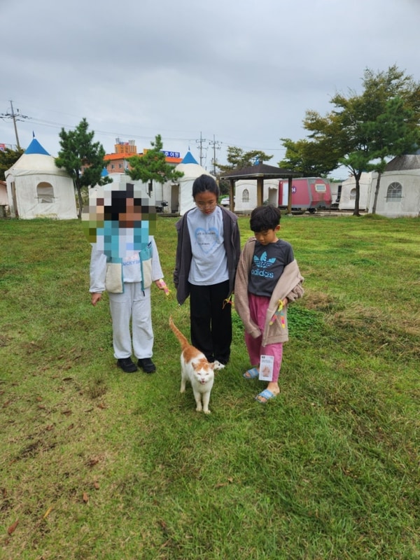 강화카라반캠핑장 대표 사진