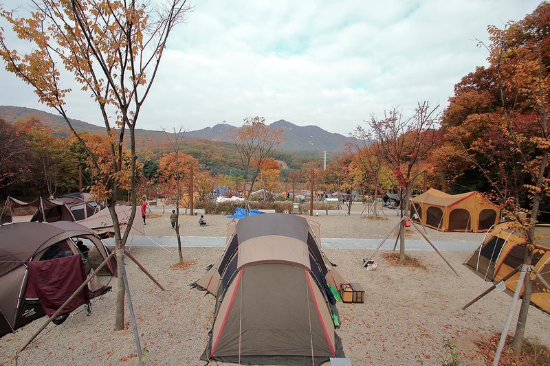 초막골생태공원 느티나무야영장 시설 사진 10