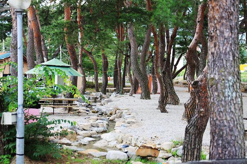 울산 힐링캠프 대표 사진