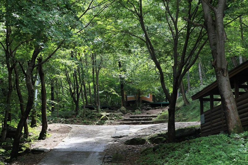 와룡자연휴양림 자동차야영장 시설 사진 1