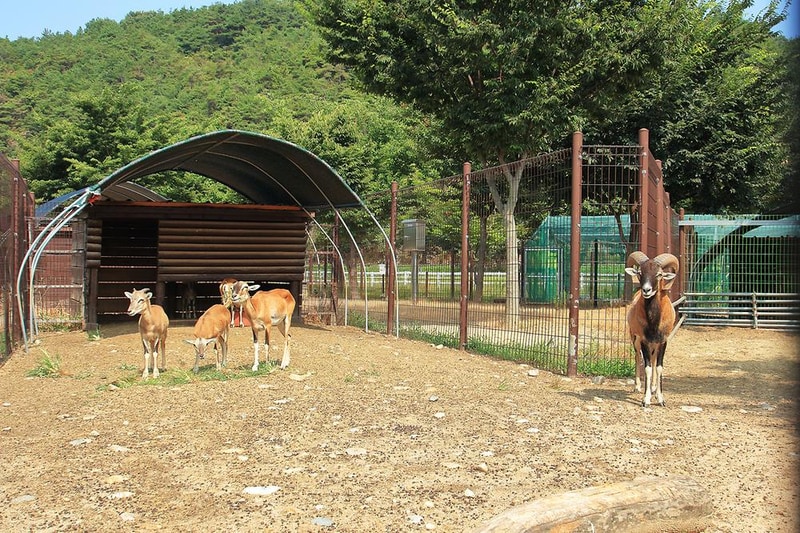 고령 대가야 카라반 시설 사진 17