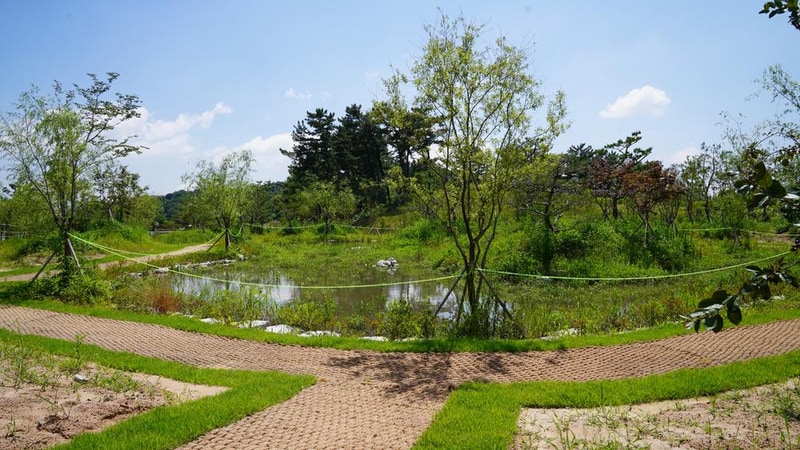 에코캠핑장 시설 사진 16