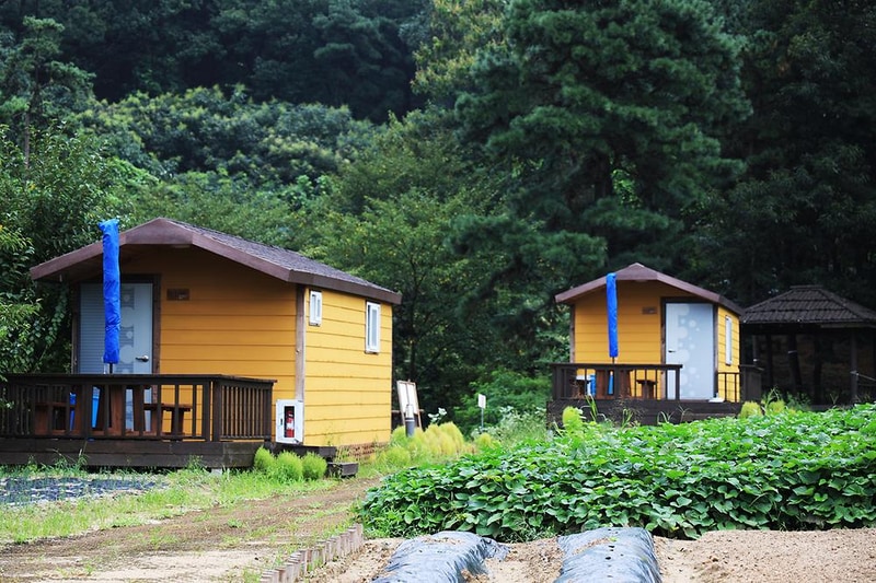 이천농업테마공원 국민여가캠핑장 시설 사진 13