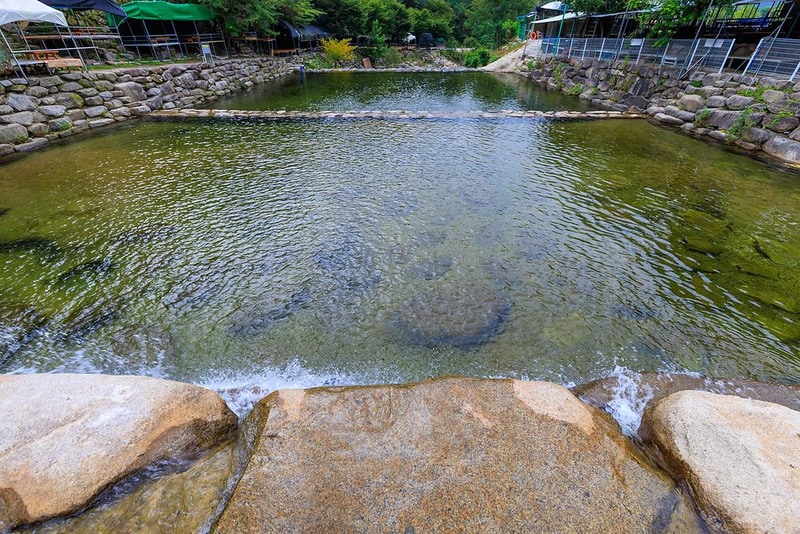 군위 솔밭야영장 시설 사진 15